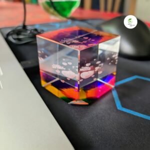 Exclusive Paper Weight Globe